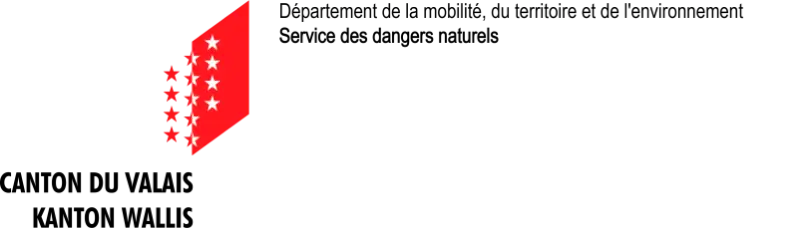 Service Danger Logo